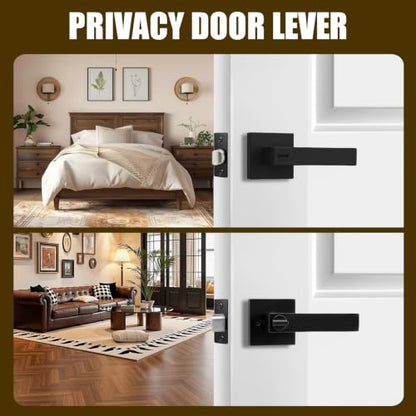 Privacy Door Handle with Lock
