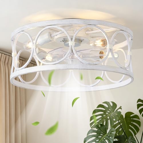 Ceiling Fans