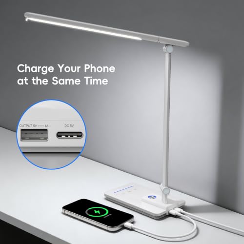LED Desk Lamp