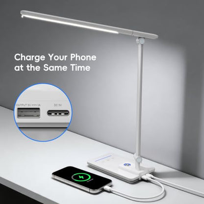 LED Desk Lamp