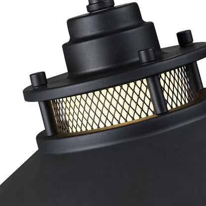 Black LED Antique Outdoor Barn Lights With Cage