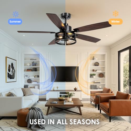 ceiling fan