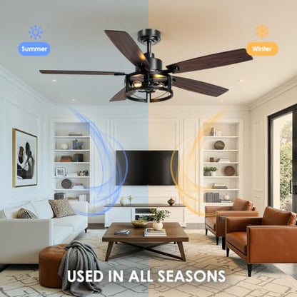 ceiling fan