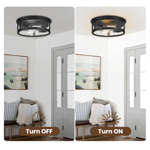 2 Light Flush Mount Ceiling Light Fixtures