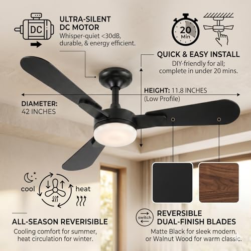 Ceiling Fans with Lights
