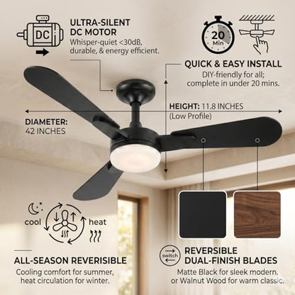 Ceiling Fans with Lights