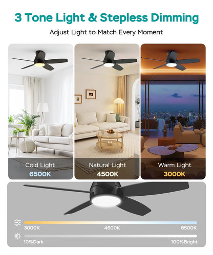 42 Inch Ceiling Fans with Lights (Black / 42 Inch)