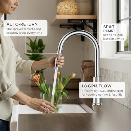 Kitchen Faucet with Pull Down Sprayer
