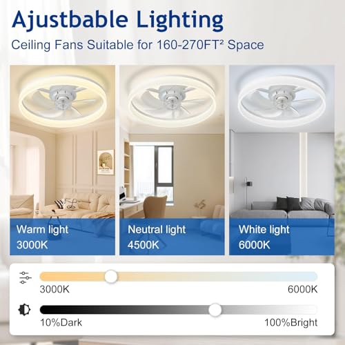 DLLT Modern Ceiling Fans with Lights