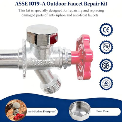ASSE 1019 A Vacuum Breaker Replacement Kit