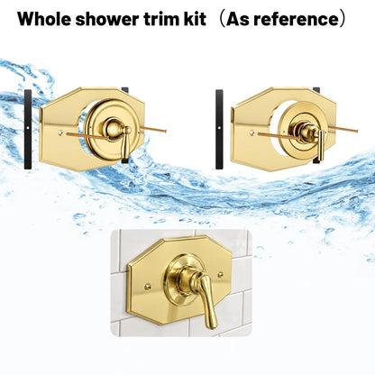 One-Hole-Remodel-Cover-Plate for 2 Handle or 3 Handle Shower Polished Brass (Brass)