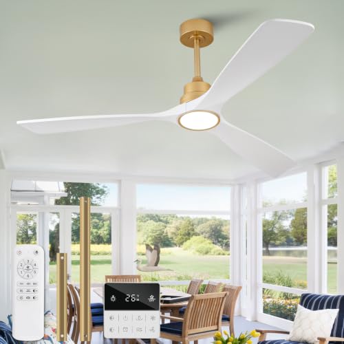 Ceiling Fan with Light