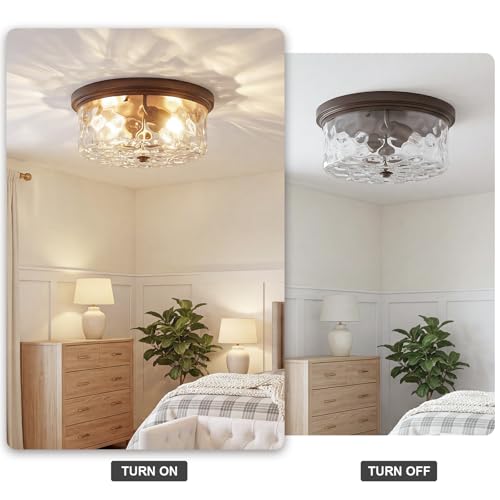 Ceiling Lights