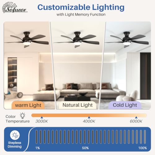 Ceiling Fans with Lights and Remote