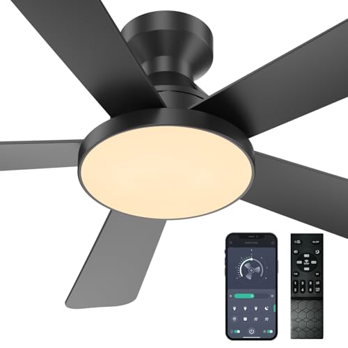 Ceiling Fans with Lights