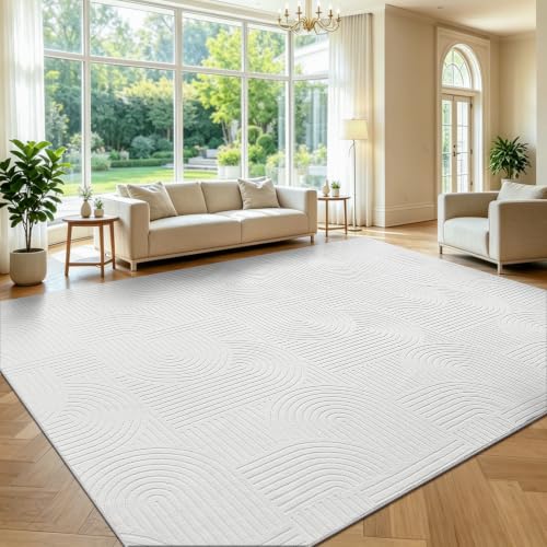 Area Rugs for Living Room