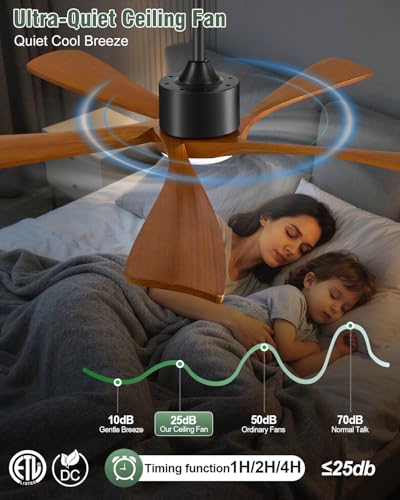 Smart Ceiling Fans with Lights