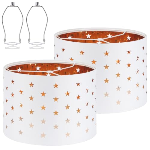 Lamp Shades Set of 2