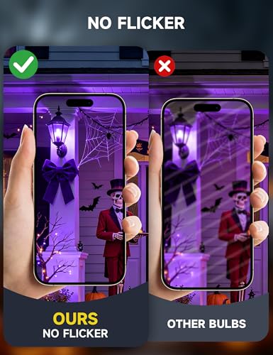 A19 9W Colored Light Bulbs