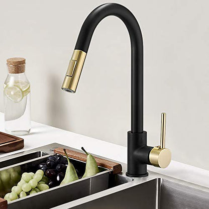 High Arc Single Handle Kitchen Sink Faucet With Pull Out Sprayer