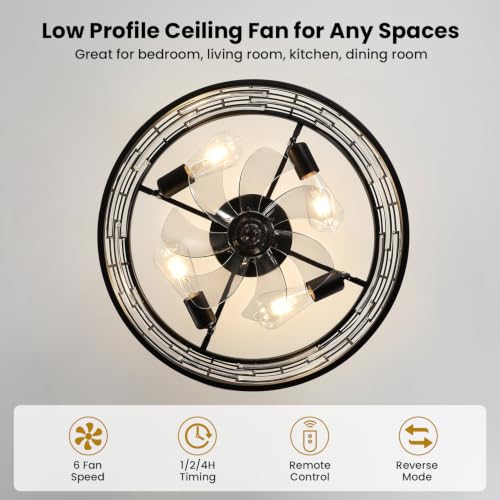 Caged Ceiling Fan with Light