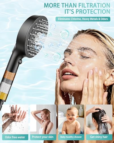 Filtered Shower Head with Handheld