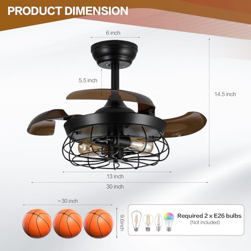 Caged Ceiling Fan