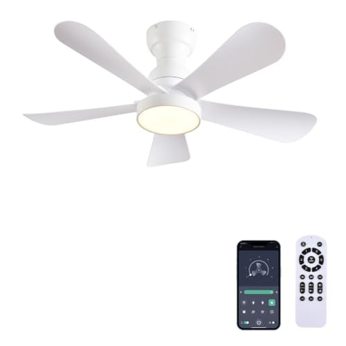 Ceiling Fans with Lights