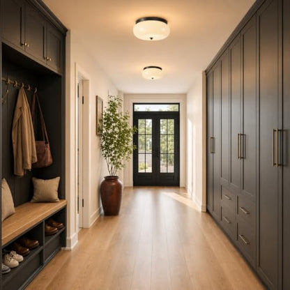 Modern Ceiling Light