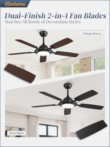 Large Ceiling Fans with Lights