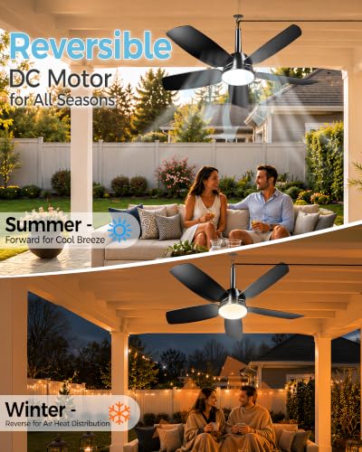 Outdoor Ceiling Fan with Light