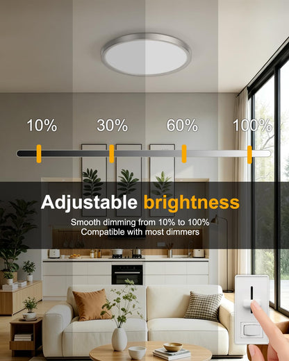 12 Inch Dimmable Ceiling Light (Silver / 12in - 6 Pack)