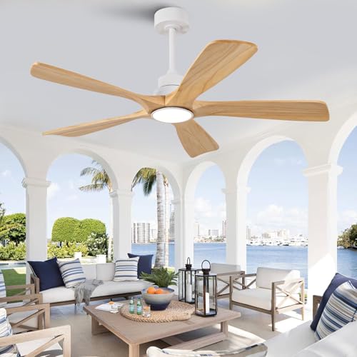 Ceiling Fan with Light
