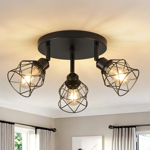 Kitchen Flush Mount Ceiling Light