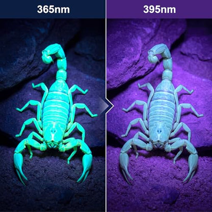 365nm UV Black Light