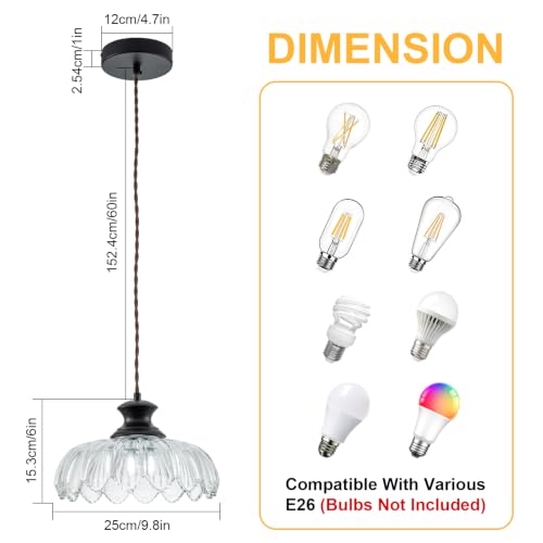 Pendant Light with Clear Flower Patterned Glass
