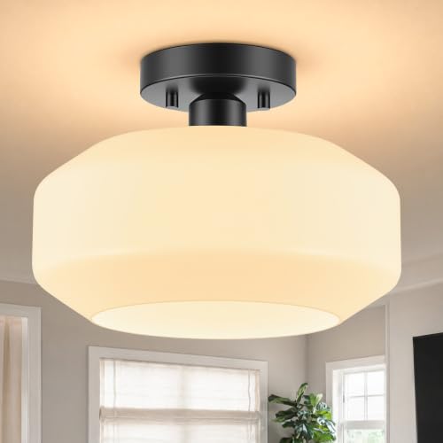 Modern Ceiling Light