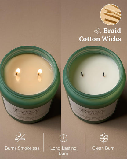 Celestial Cypress Large Scented Candles (Celestial Cypress)