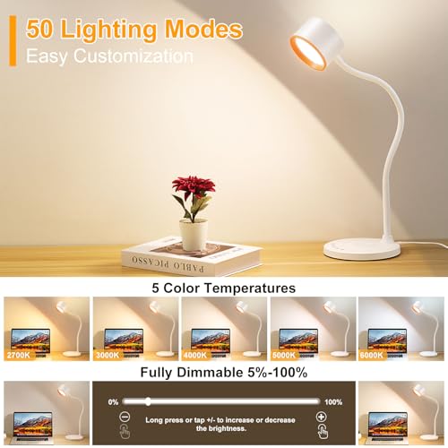 Desk lamp with USB Charging Ports