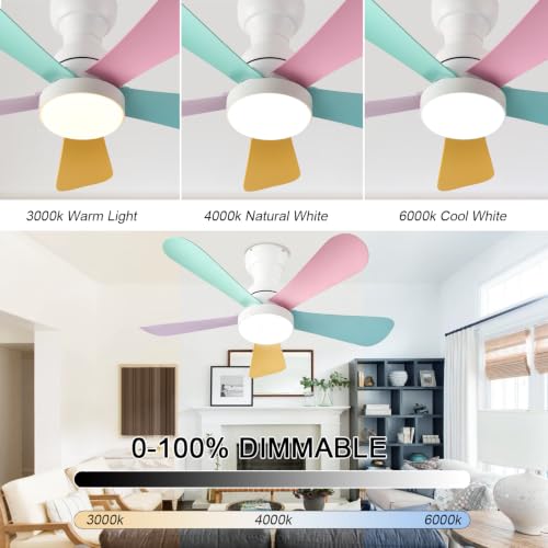 Ceiling Fans with Lights