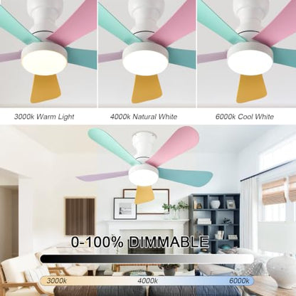 Ceiling Fans with Lights