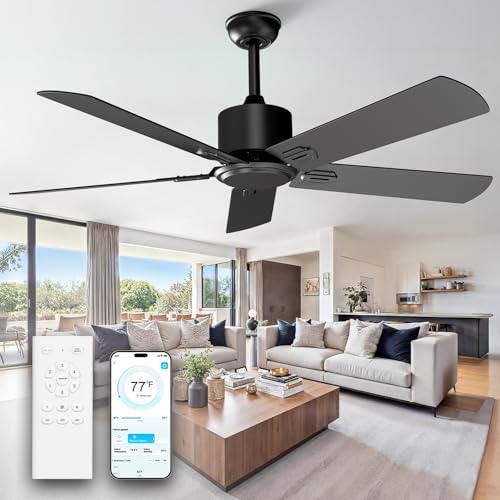 Black Ceiling Fan