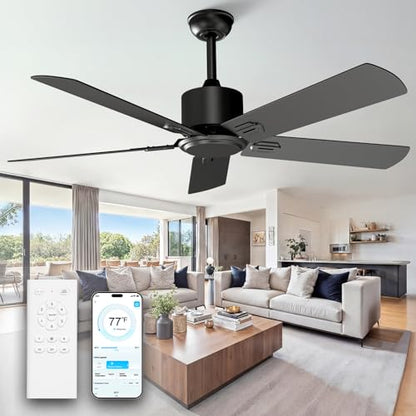 Black Ceiling Fan