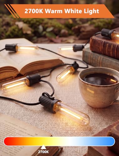Edison LED Replacement Bulbs for Outdoor String Lights