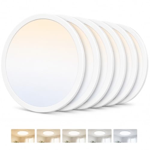 Ceiling Lights