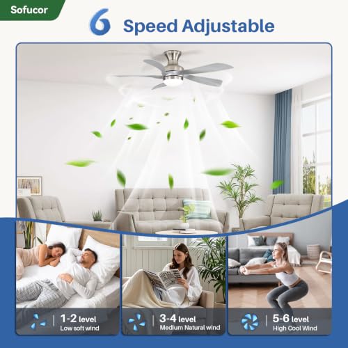 52 Inch Smart Ceiling Fans with Lights and Remote (Silver+Nickel / 52inch Max)