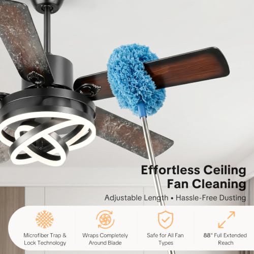 Ceiling Fans with Lights