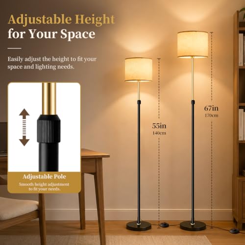 Dimmable Floor Lamp for Living Room (Black Gold 3CCT)