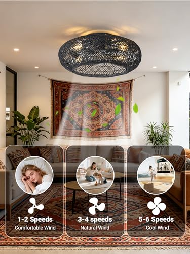 ceiling fan