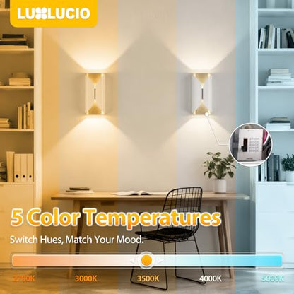 White & Gold Up & Down Indoor Outdoor LED Wall Sconce (White and Gold / 1 pack)